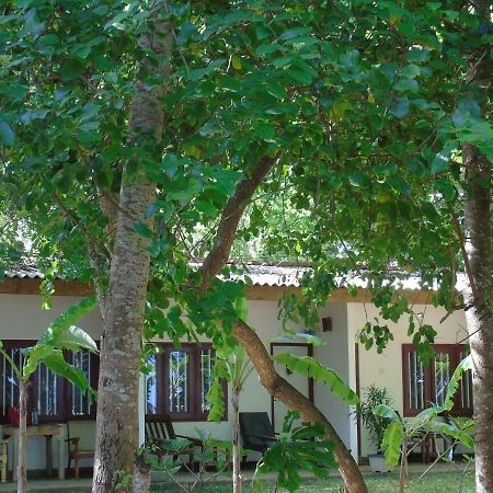 Talalla Coconut Hotel Buitenkant foto