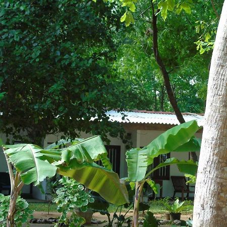 Talalla Coconut Hotel Buitenkant foto