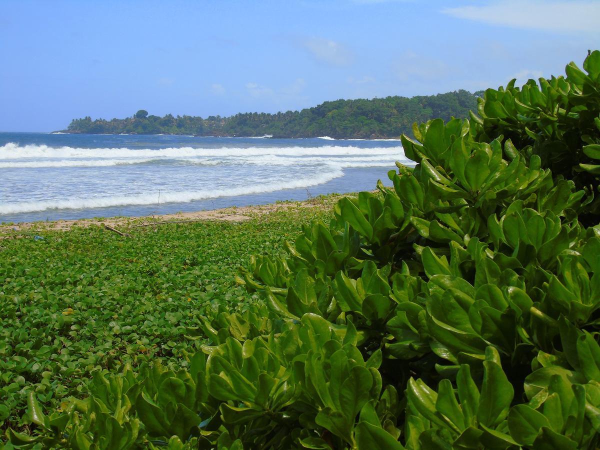 Talalla Coconut Hotel Buitenkant foto