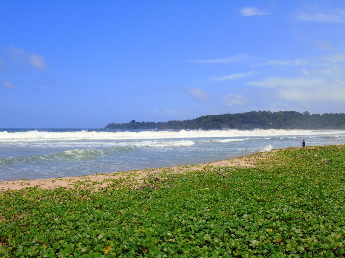 Talalla Coconut Hotel Buitenkant foto