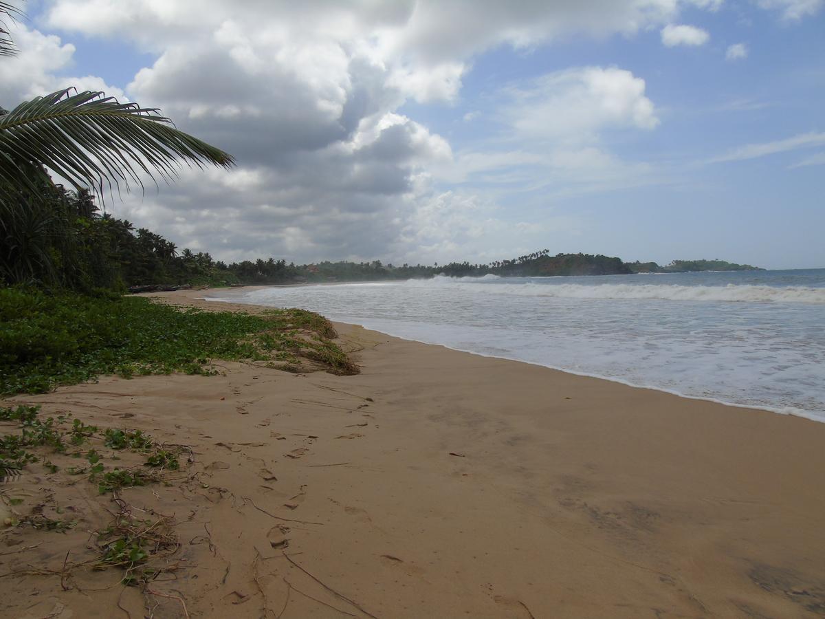 Talalla Coconut Hotel Buitenkant foto