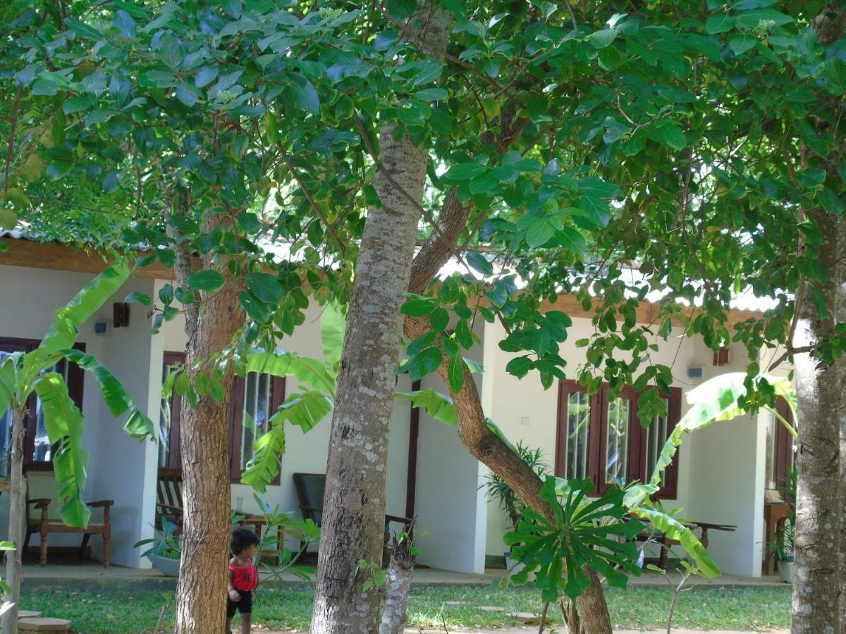 Talalla Coconut Hotel Buitenkant foto