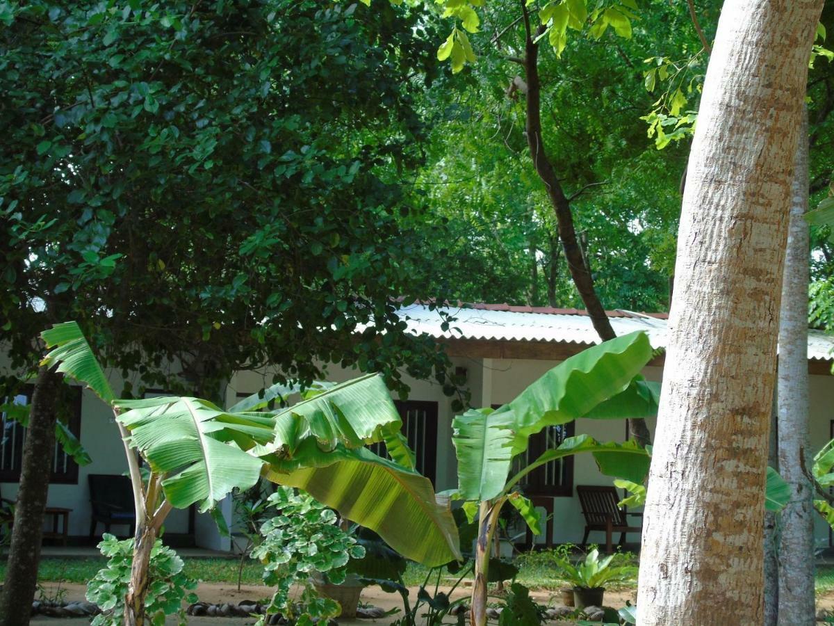 Talalla Coconut Hotel Buitenkant foto
