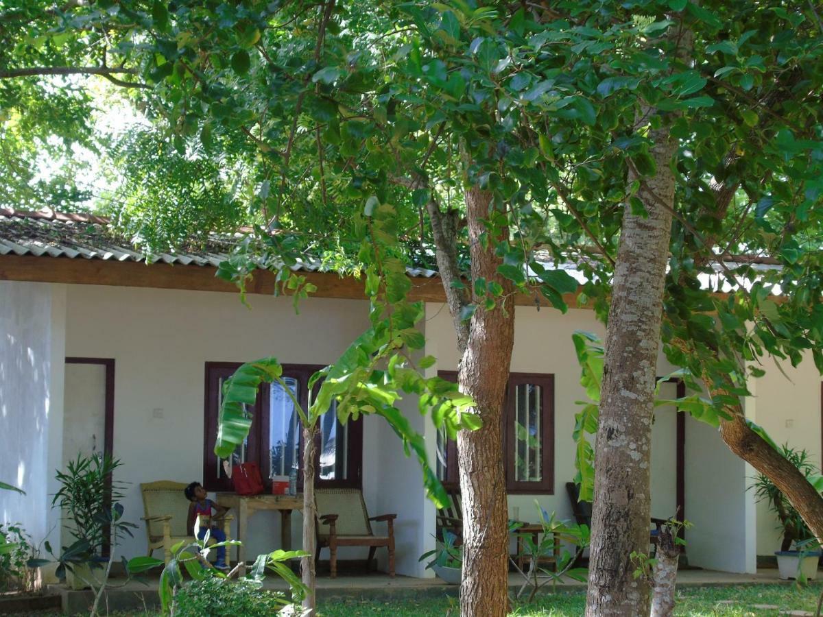 Talalla Coconut Hotel Buitenkant foto