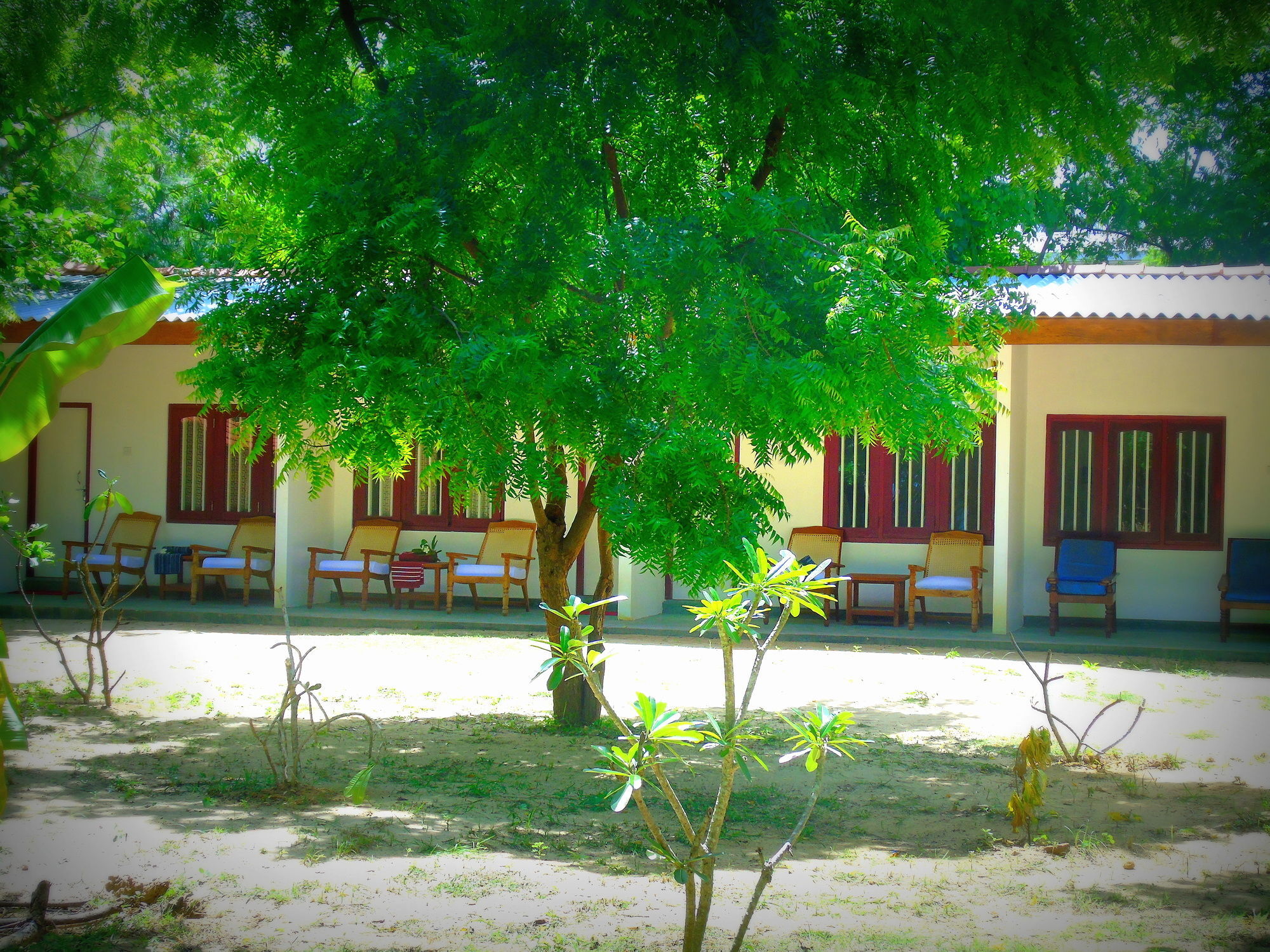 Talalla Coconut Hotel Buitenkant foto