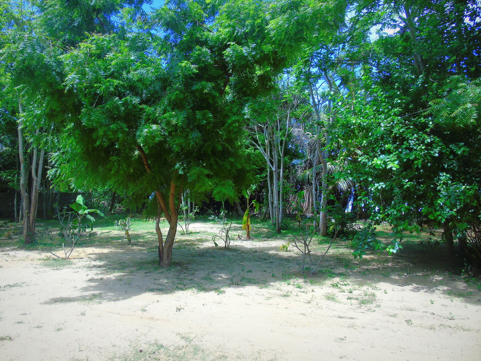 Talalla Coconut Hotel Buitenkant foto