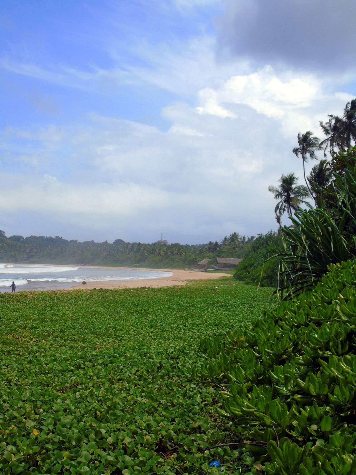 Talalla Coconut Hotel Buitenkant foto