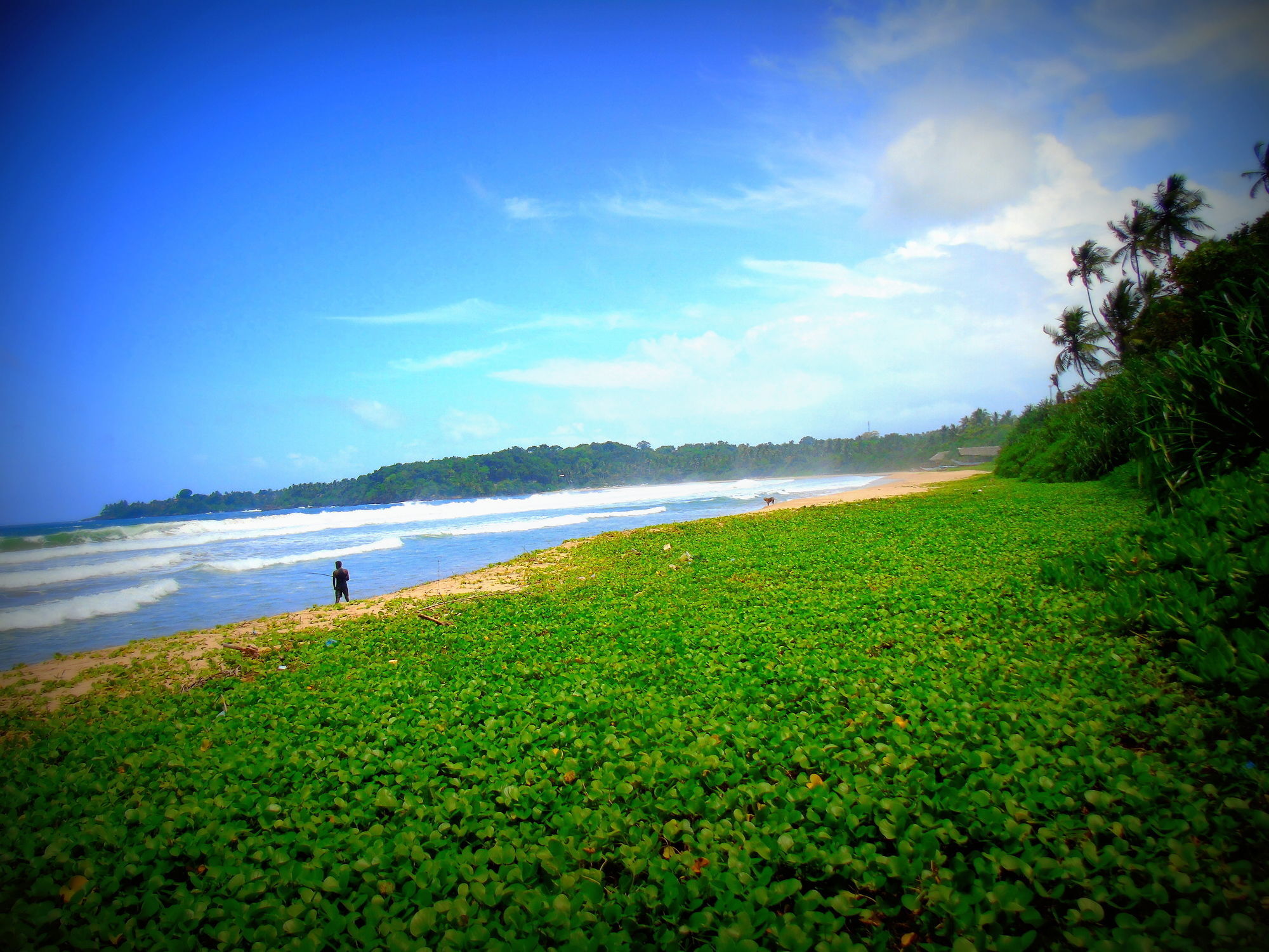 Talalla Coconut Hotel Buitenkant foto